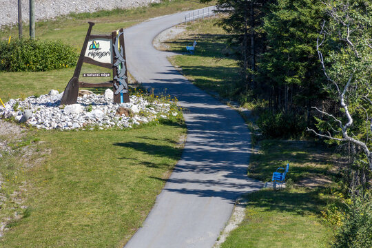 A serene path between Nipigon Lookout Tower and Bridge in Ontario, surrounded by lush greenery.