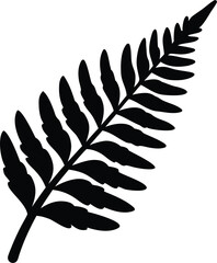 Fototapeta premium fern silhouette, fern leaves silhouettes vector