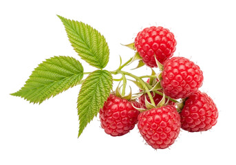 Fresh raspberries with green leaves isolated on transparent background