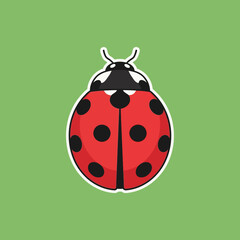 Vector illustration of a cute red ladybug sticker. Adorable cartoon insect icon isolated on a green background