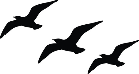 flying birds silhouette vector, bird flying vector illustration