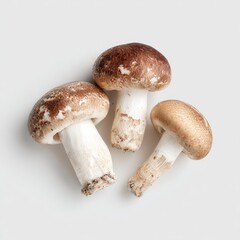 Three whole mushrooms, light brown and tan caps, white stems, arranged on a light gray background