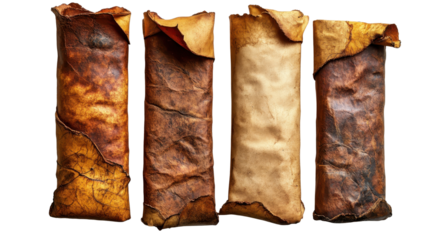 An old parchment paper scroll sheet isolated on white transparent background