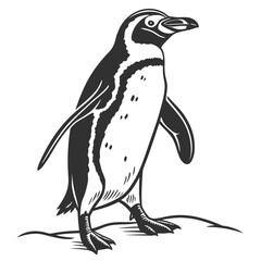 A stylized black and white illustration of a magellanic penguin standing on a rocky surface showcasing its distinctive markings and upright posture