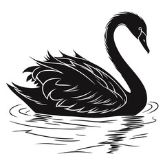 Elegant black swan illustration with detailed feathers gracefully gliding on rippling water creating a striking silhouette against a clean white background perfect for nature and design projects