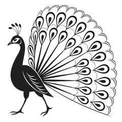 Elegant silhouette of a majestic peacock with its elaborate tail feathers fanned out in a beautiful display against a clean white background