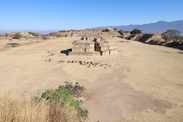 Mexico Mayan city ruins in Monte Alban near Oaxaca