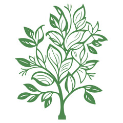 blossom flower illustration green