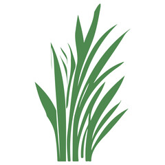 grass garden illustration green
