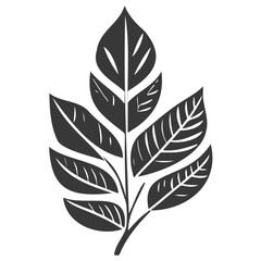 leaf nature illustration grey