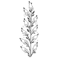 tulip flower illustration grey