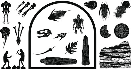 Prehistoric fossils and bones, primitive human silhouettes, ancient artifacts, dinosaur skull, trilobite fossils, ammonite shells, stone tools, paleontology collection © Maisa
