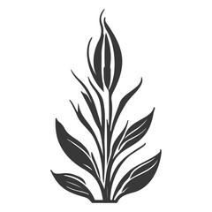 aloe flower illustration grey