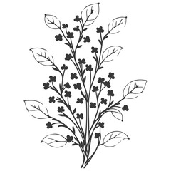 berry flower illustration grey