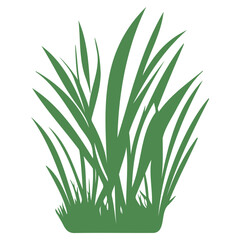 grass garden illustration green
