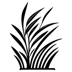 grass garden illustration sketch hand draw