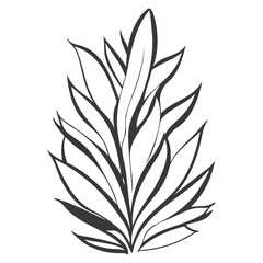 aloe flower illustration grey