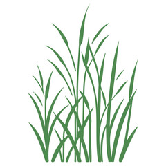 grass garden illustration green