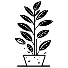 plant pot illustration sketch hand draw