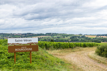 Saint Veran vineyard landscape in Bourgogne, France, under cloudy sky