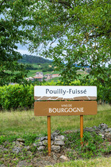 Pouilly Fuisse vineyards in Bourgogne wine region, France