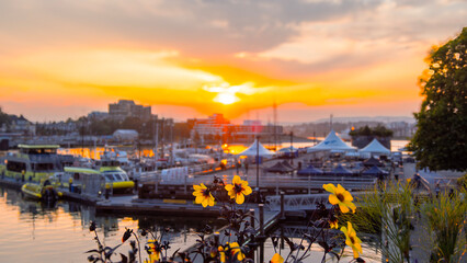 Victoria inner harbour causeway glows warmly at sunset with shimmering water reflecting the colourful sky, boats gently bobbing, and the city's historic skyline creating a serene, picturesque scene.