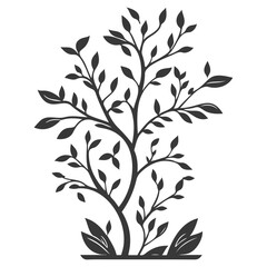 blossom flower illustration grey