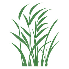 grass garden illustration green