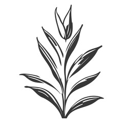 aloe flower illustration grey