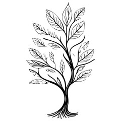 tree half spring autumn floral illustration sketch hand draw