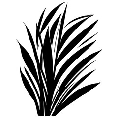 grass garden illustration sketch hand draw