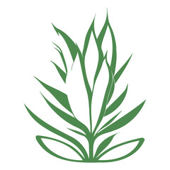 aloe flower illustration green