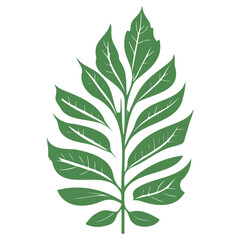 leaf nature illustration green