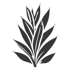 aloe flower illustration grey