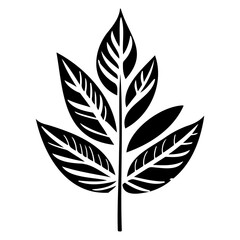 leaf nature illustration sketch hand draw