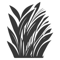 grass garden illustration grey