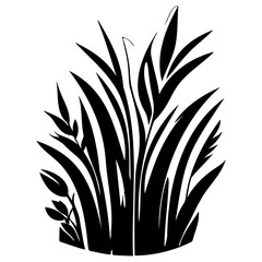 grass garden illustration sketch hand draw