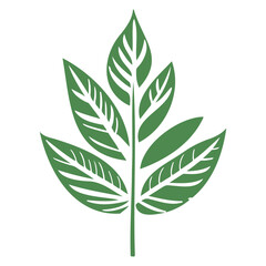 leaf nature illustration green