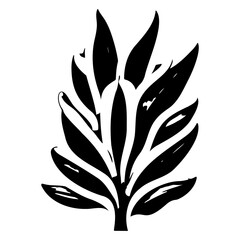 aloe flower illustration sketch