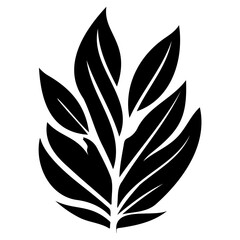 leaf nature illustration sketch hand draw