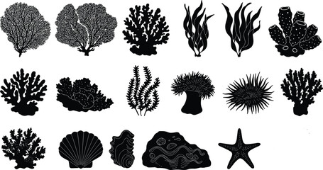 Silhouette underwater coral reef elements, seaweed, marine plants, seashells, starfish, ocean life, aquatic nature, sea ecosystem, marine biodiversity.