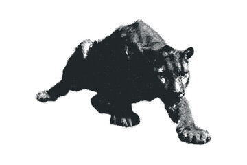 Black panther prowling image with halftone texture. Vector hand drawn illustration