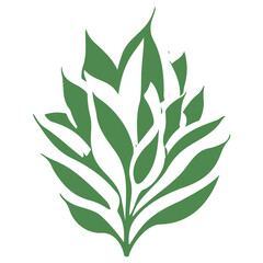 aloe flower illustration green