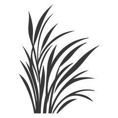 grass garden illustration grey
