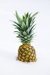 Close-up view of a pineapple placed in white fresh snow 