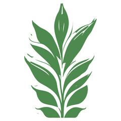 aloe flower illustration green