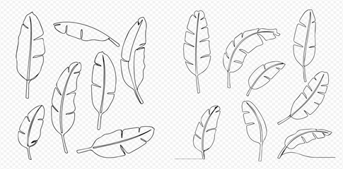 Fototapeta premium A collection of minimalist banana leaf illustrations drawn in a continuous line art style on a transparent background.
