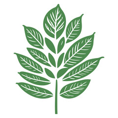 leaf nature illustration green