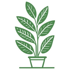 plant pot illustration green