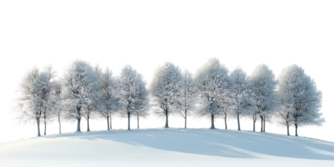 White snow landscape isolated on a white transparent background